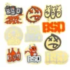 PARTS BSD BMX Sticker Kit - 10 Pack