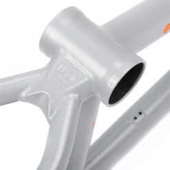 BSD Freedom Frame (2021)