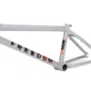 BSD Freedom Frame (2021)