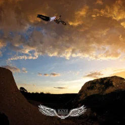 Back Bone BMX Dane Searls D.A.N.E Tribute Poster - Limited Edition