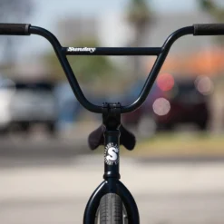 Sunday Bikes Sunday Forecaster Broc Raiford BMX Bike (2022)