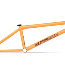 Wethepeople Doomsayer Frame (2021)